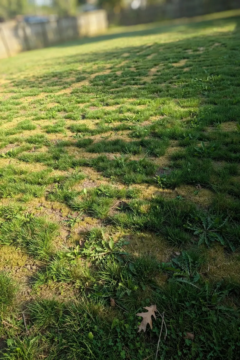 Ring Nematode Treatment for Lawns: 7 Steps Before You Call a Nematicide Ring Nematode Treatment for Lawns: 7 Steps Before You Call a Nematicide